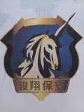 西宁骏翔保安服务有限公司