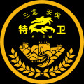 湖南三龙保安服务有限责任公司